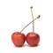 cherry1112