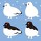 雷鳥さん