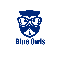 BlueOwls