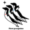 First Penguins