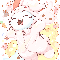 猫兎_Rabbit Cat
