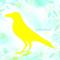 yellowbird co