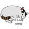 手もみ屋catnap