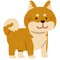 柴犬dayo