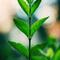 hal0819