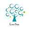 Lime Tree
