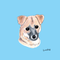 yuのきまぐれ