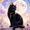 spirituaCardreader黒猫