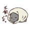 ピギョの人