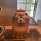 otokanade