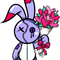 MimaJapanDesign