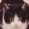 あ  ん  ず