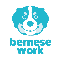 bernese work