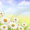 chamomile☆