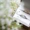 WeDD_Movie