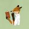 きつねstillfoxgarden