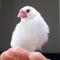 まお629