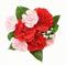 spanishflower