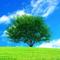 value_app