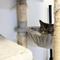 中川　mayu