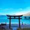 夏海浄