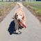 NOAH_GOLDEN