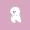 shochan_0202
