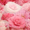 ☆Flower☆