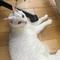 きゅーん999