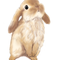 neonbunny