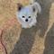 ぽこにゃんさま