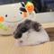 はむマム