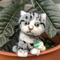 ねこだらけ