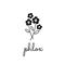 Phlox Co