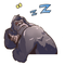 Shoutaro_T