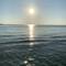suna246