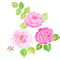 satomi_fl