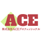 ＡＣＥプロフェッショナル