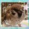 Kichi0618