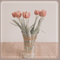 note_space625