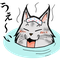 yukimaru21