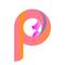 P design create