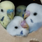 hanano♫