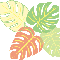 PONOPO