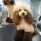 muffy0722