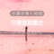 空　兎　