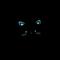Turquoise Cat