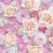 flower1103