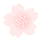 ちいさな桜