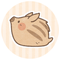 aira_UoxoU